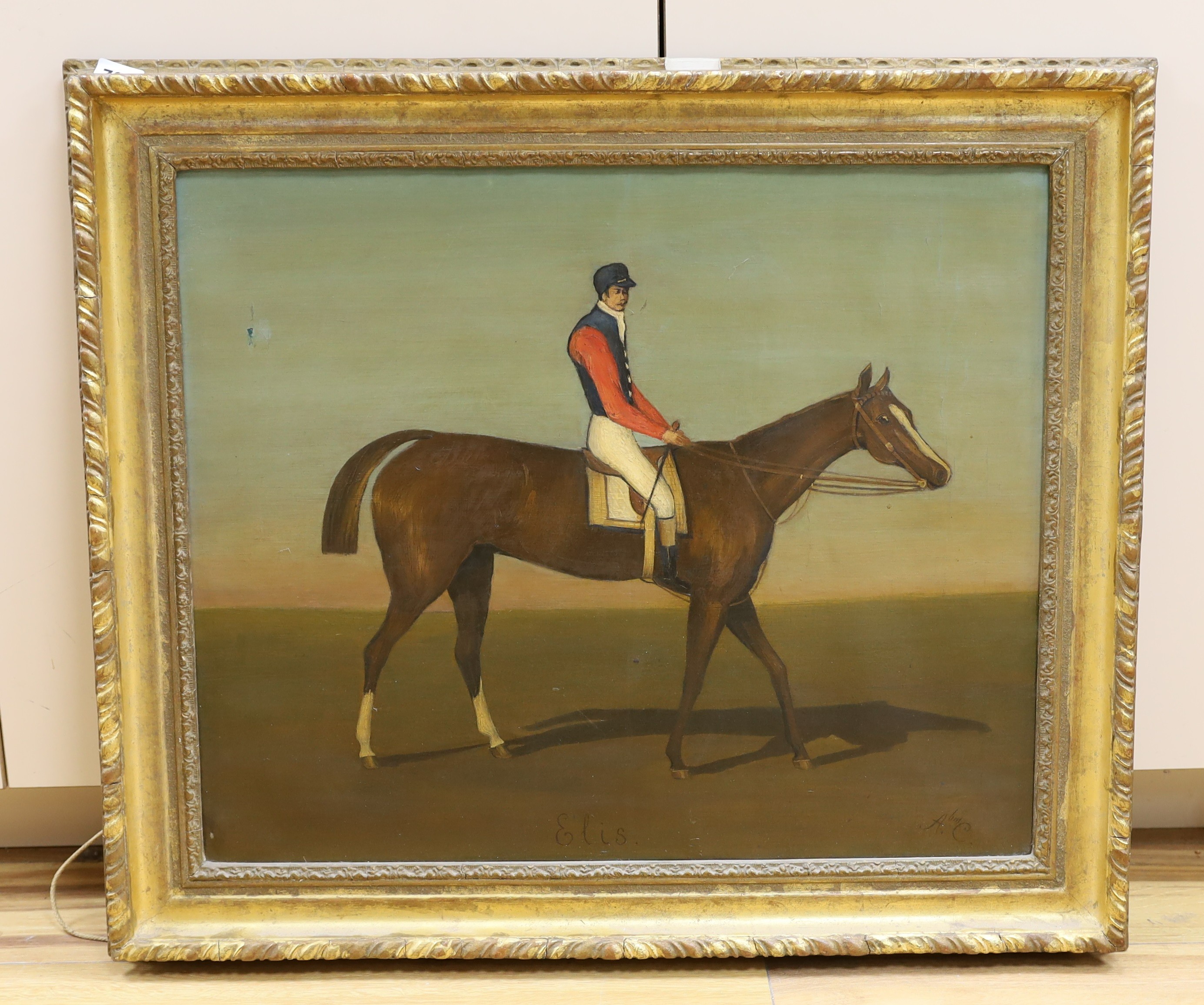 Abraham C. oil on canvas, Racehorse 'Elis' with jockey up, signed, 49 x 60cm